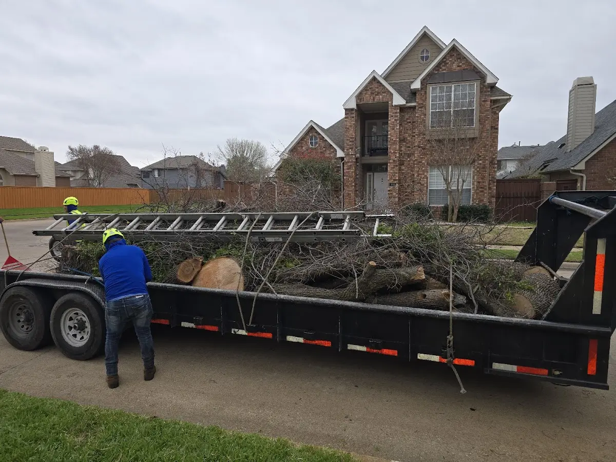 Expert Lot Clearing with proper safety equipment in Bodfish